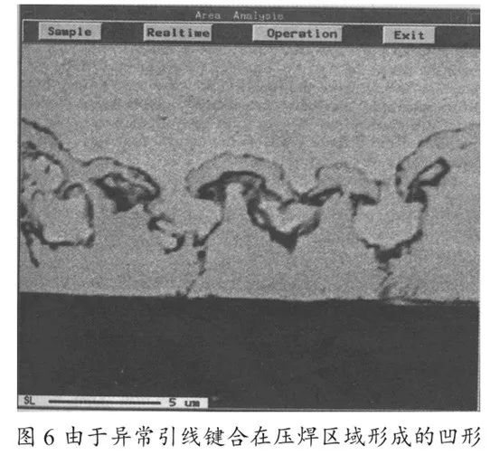 说明: 图片